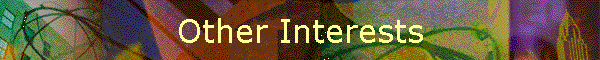 Other Interests
